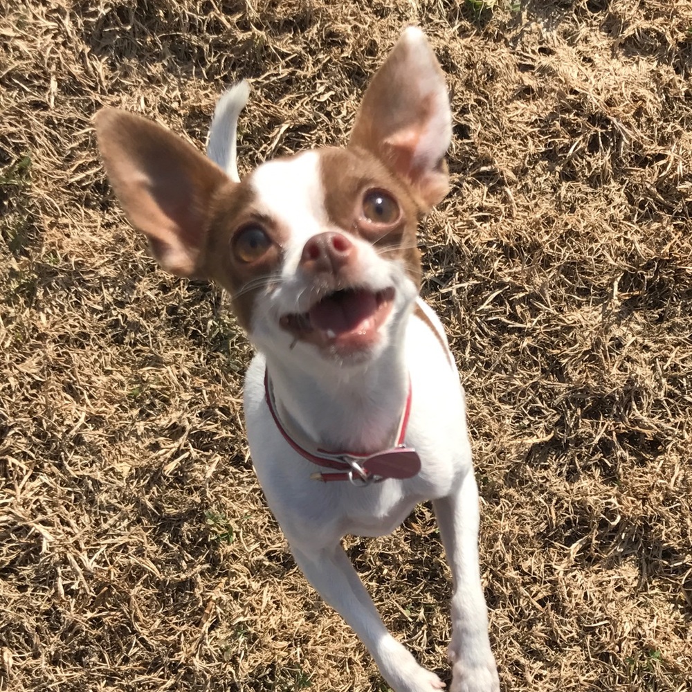 Meet your Posher, Juan