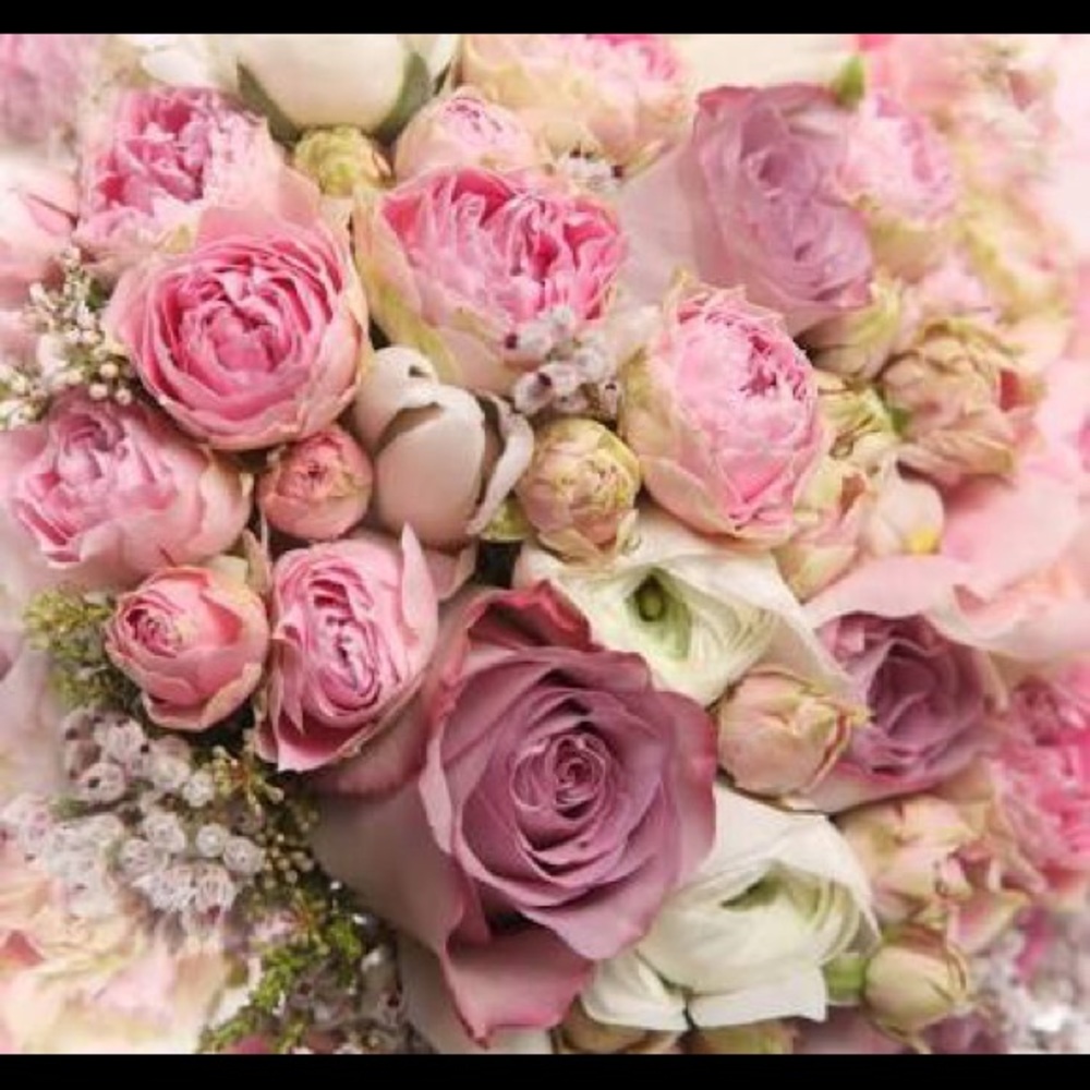 Meet your Posher, Bella