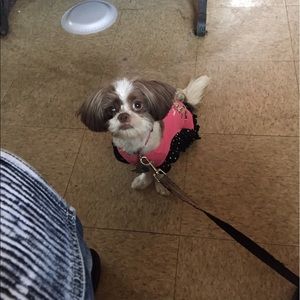 Meet your Posher, Darryl