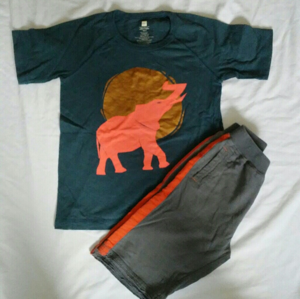 Tea Collection tee and shorts outfit