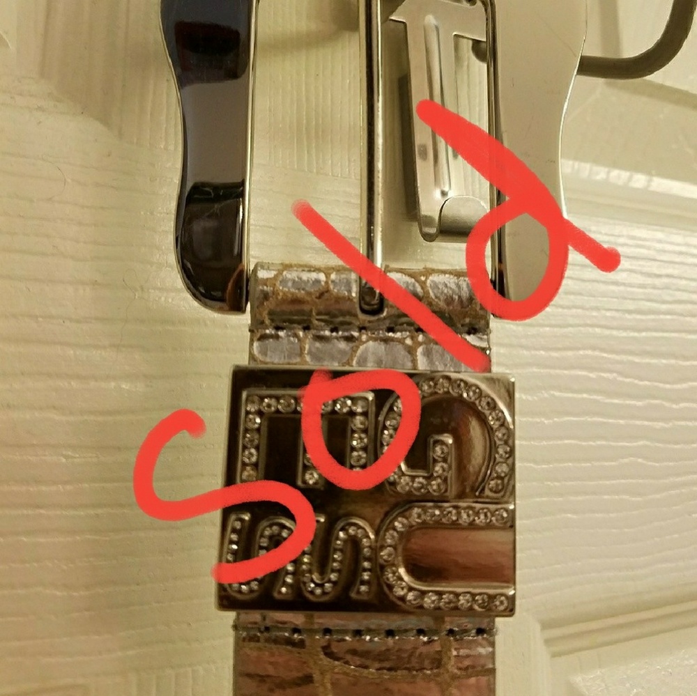 ??Shiny fun belt