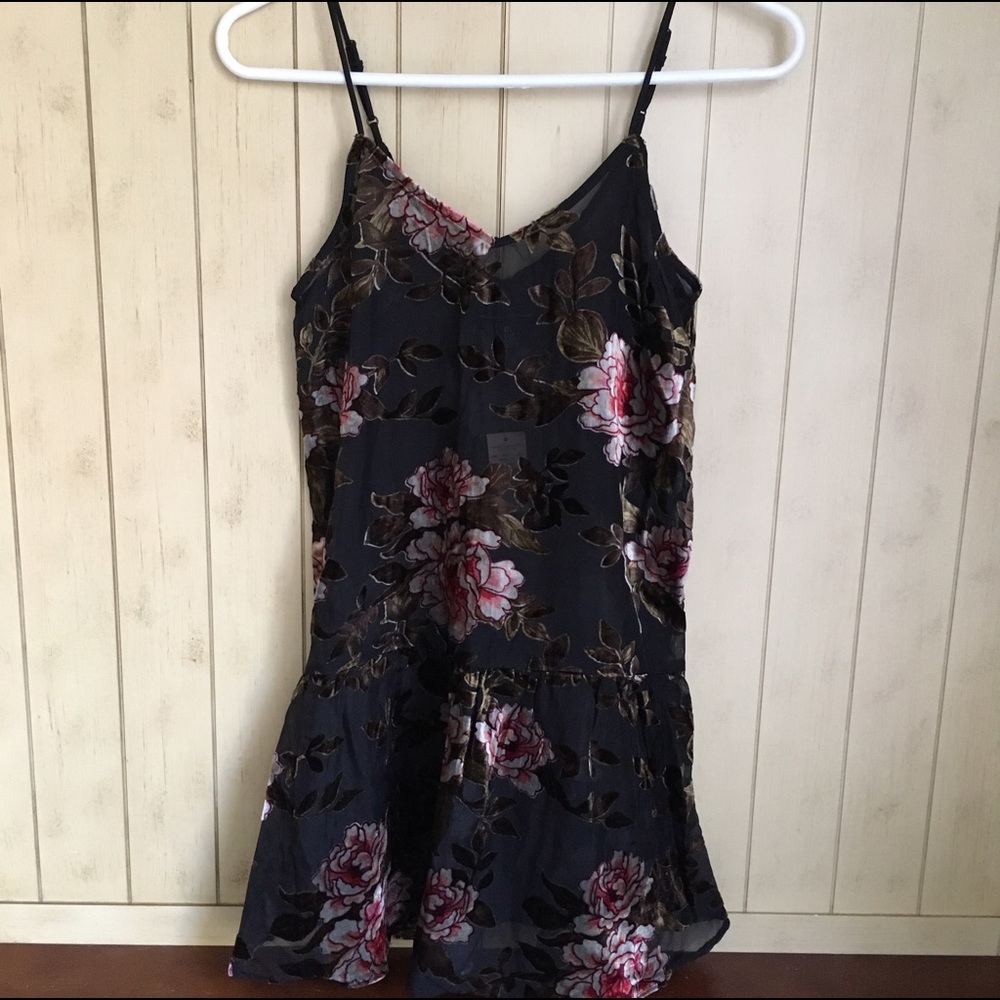 American Eagle Velvet Floral Dress
