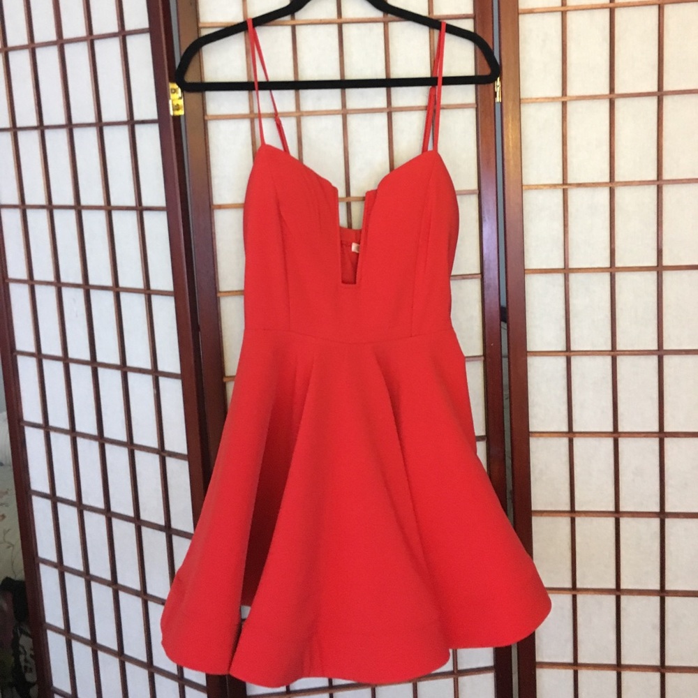 Luxel Skater Dress