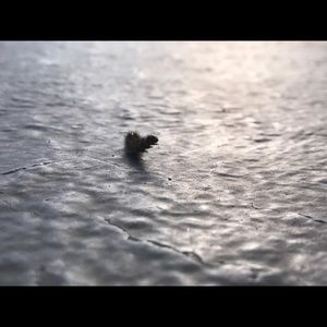 Meet your Posher, Nathan