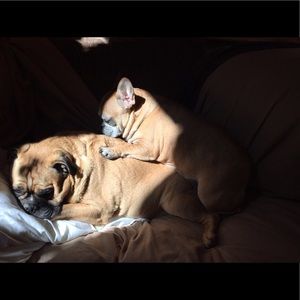 Meet your Posher, Anna