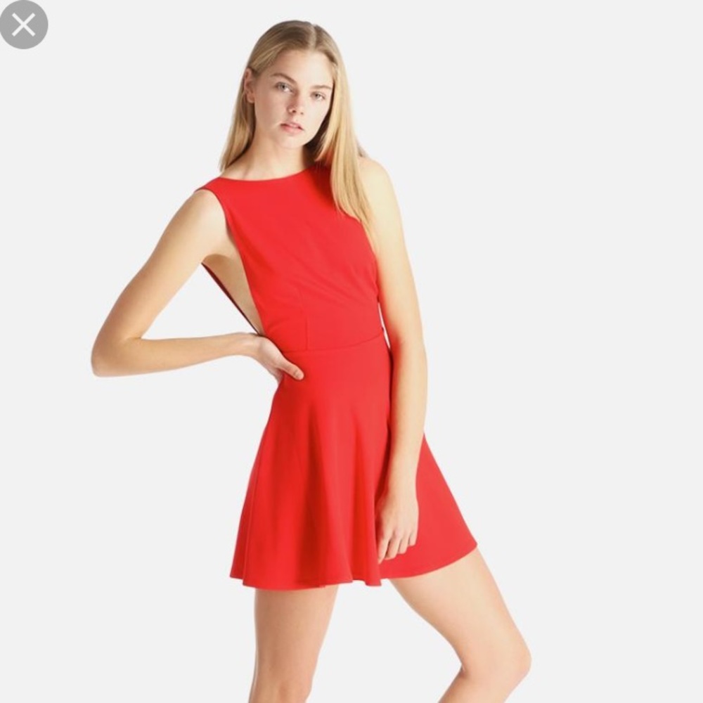 American apparel skater dress