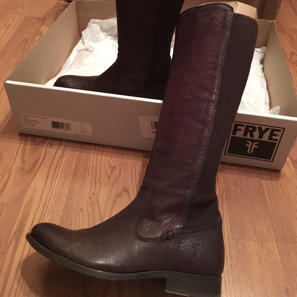 FRYE Women's Molly Gore Tall Riding Boot