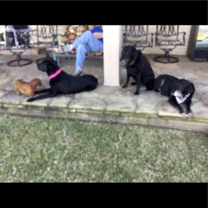 Meet your Posher, Nancy