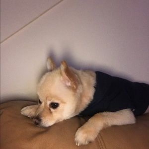 Meet your Posher, Daniel