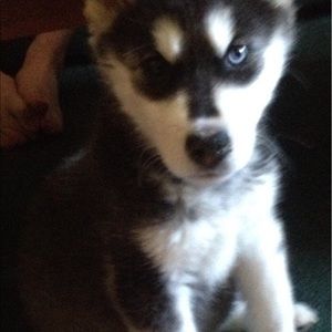 Meet your Posher, Heather