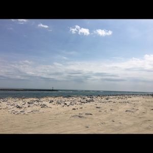 Meet your Posher, Tori