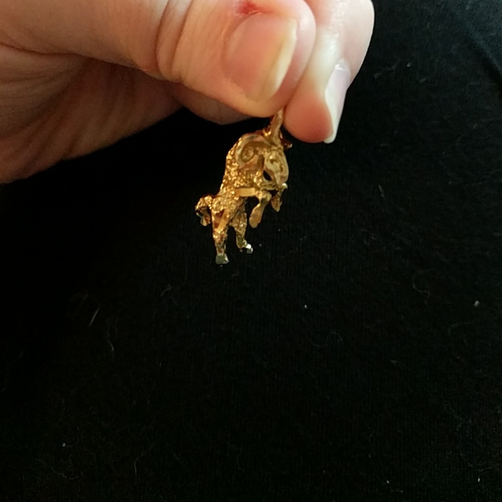 ♈14k aries zodiac charm