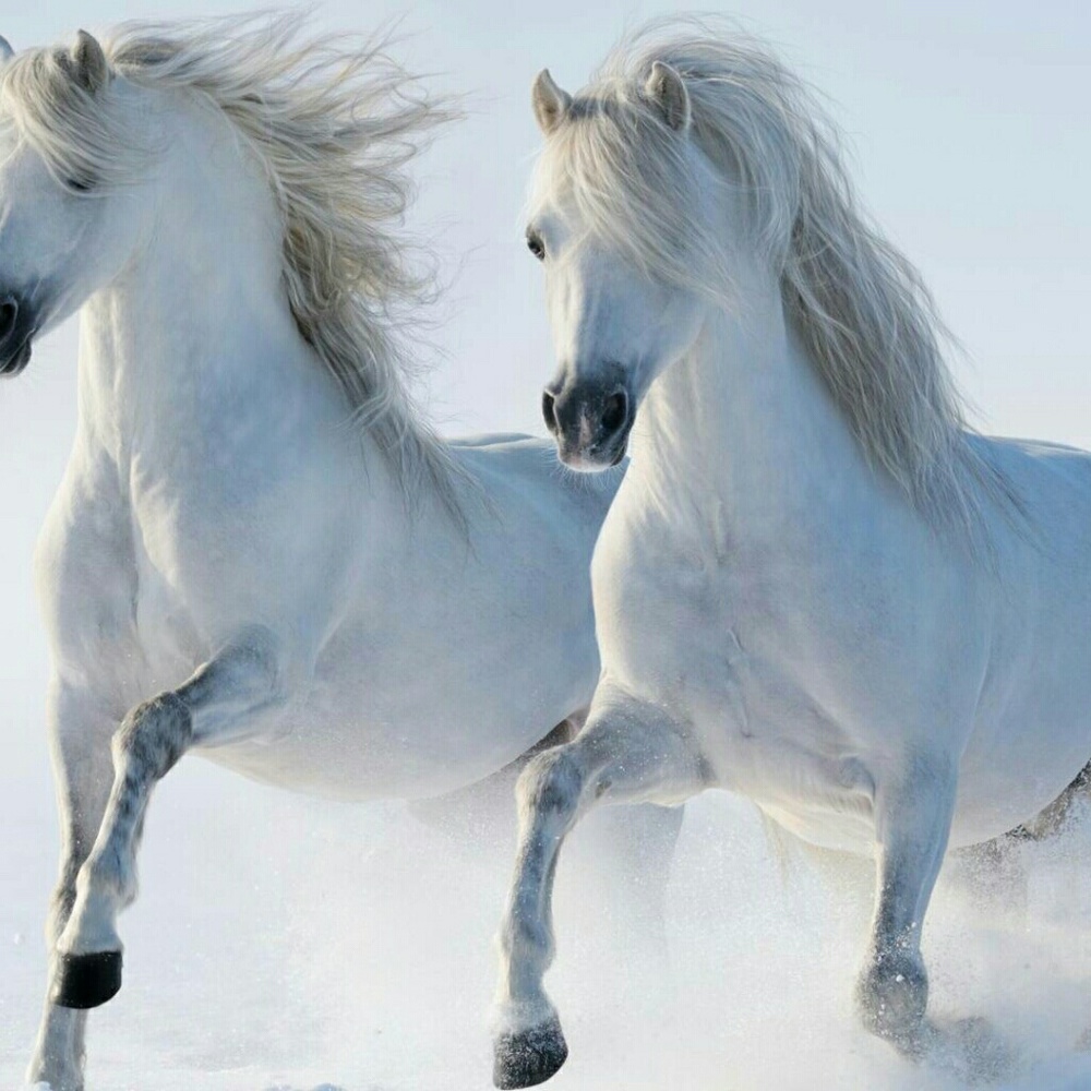 Ashley's Bundle - image 1