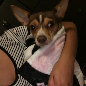 Meet your Posher, Vee