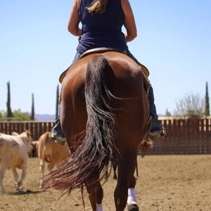 Meet your Posher, Jacqueline jacquie