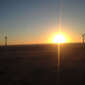 Meet your Posher, Judd