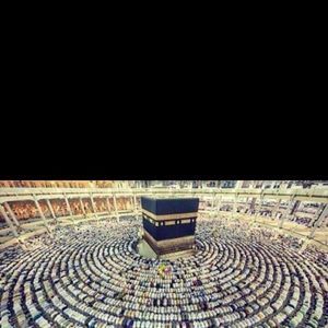 Meet your Posher, Haseeb