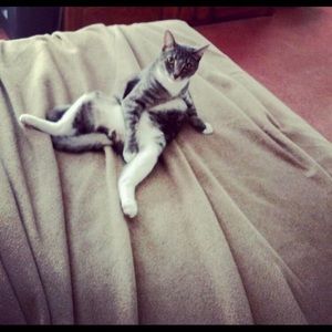 Meet your Posher, Nicole