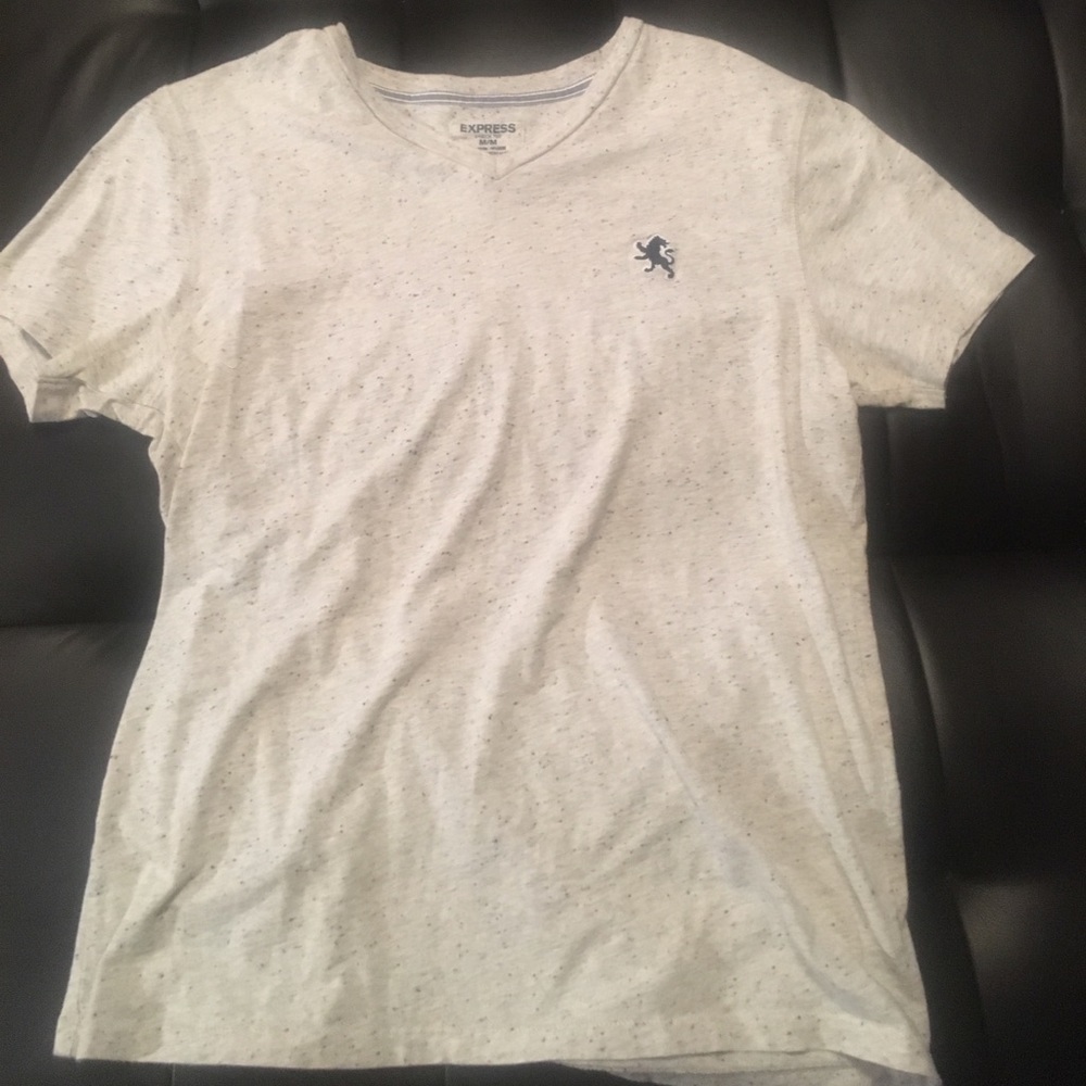 Express v neck tee