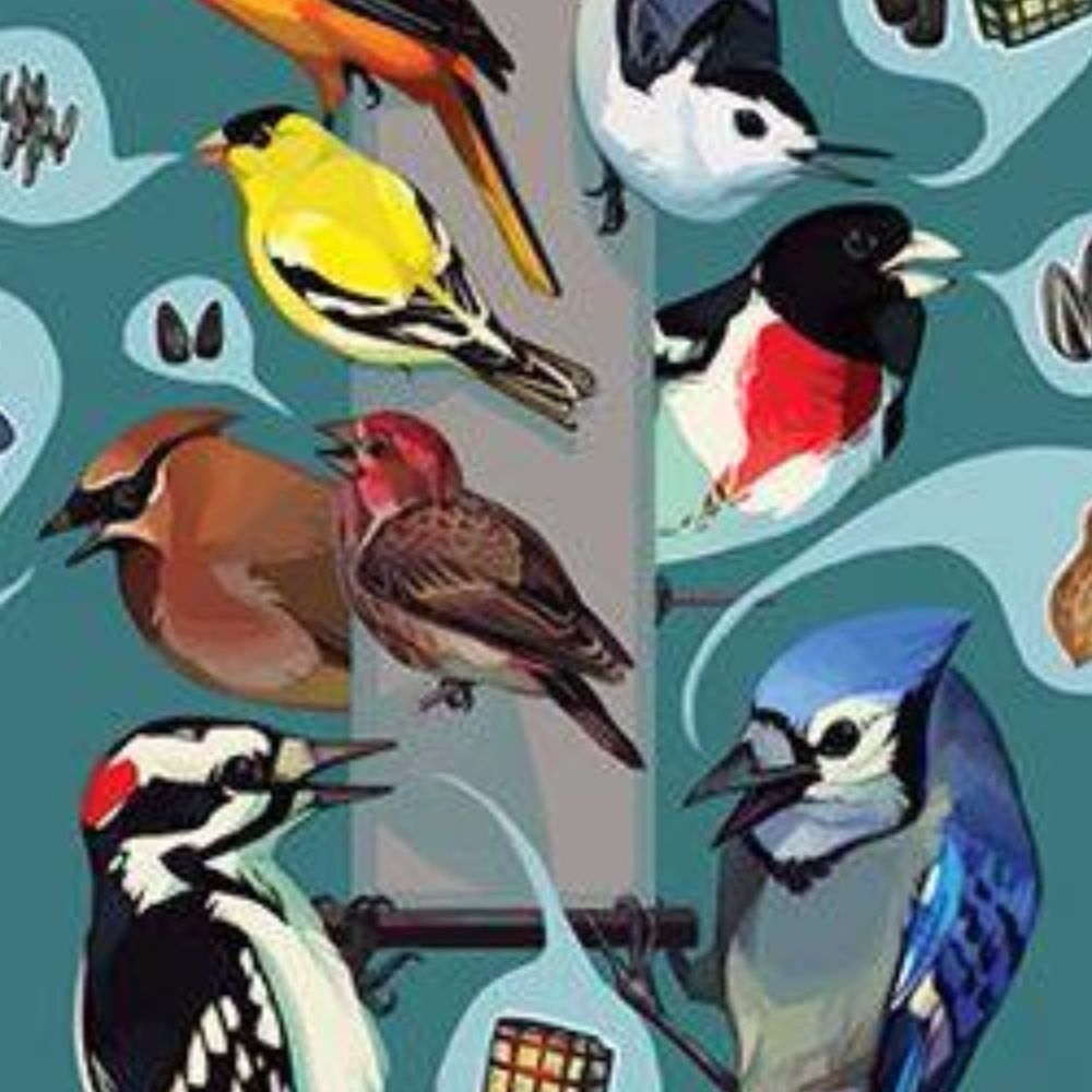 Meet your Posher, Birdie