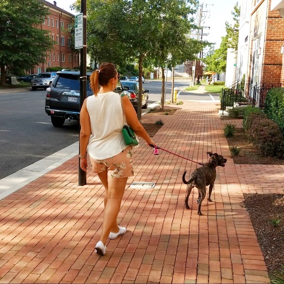 Meet your Posher, Tasha - Picture 2 of 3