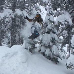 Meet your Posher, Sam