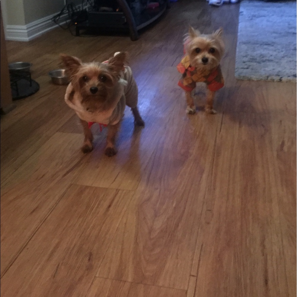 Meet your Posher, Chantelle m