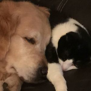 Meet your Posher, Kristen