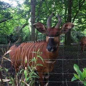 Meet your Posher, Astrid