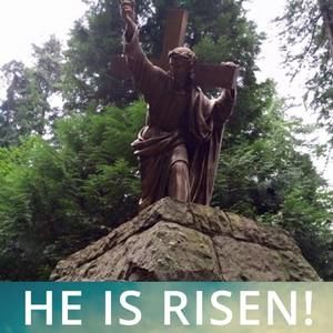 Meet your Posher, Kayleigh