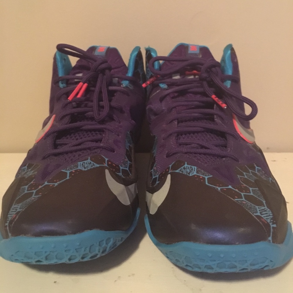 Lebron 11 "Hornets"