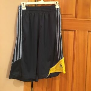 Men's Adidas ClimaLite Shorts