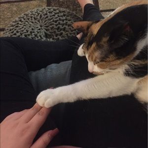 Meet your Posher, Megan