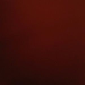 Meet your Posher, Amira