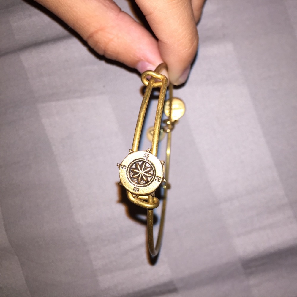 NWSE compass Alex and ani