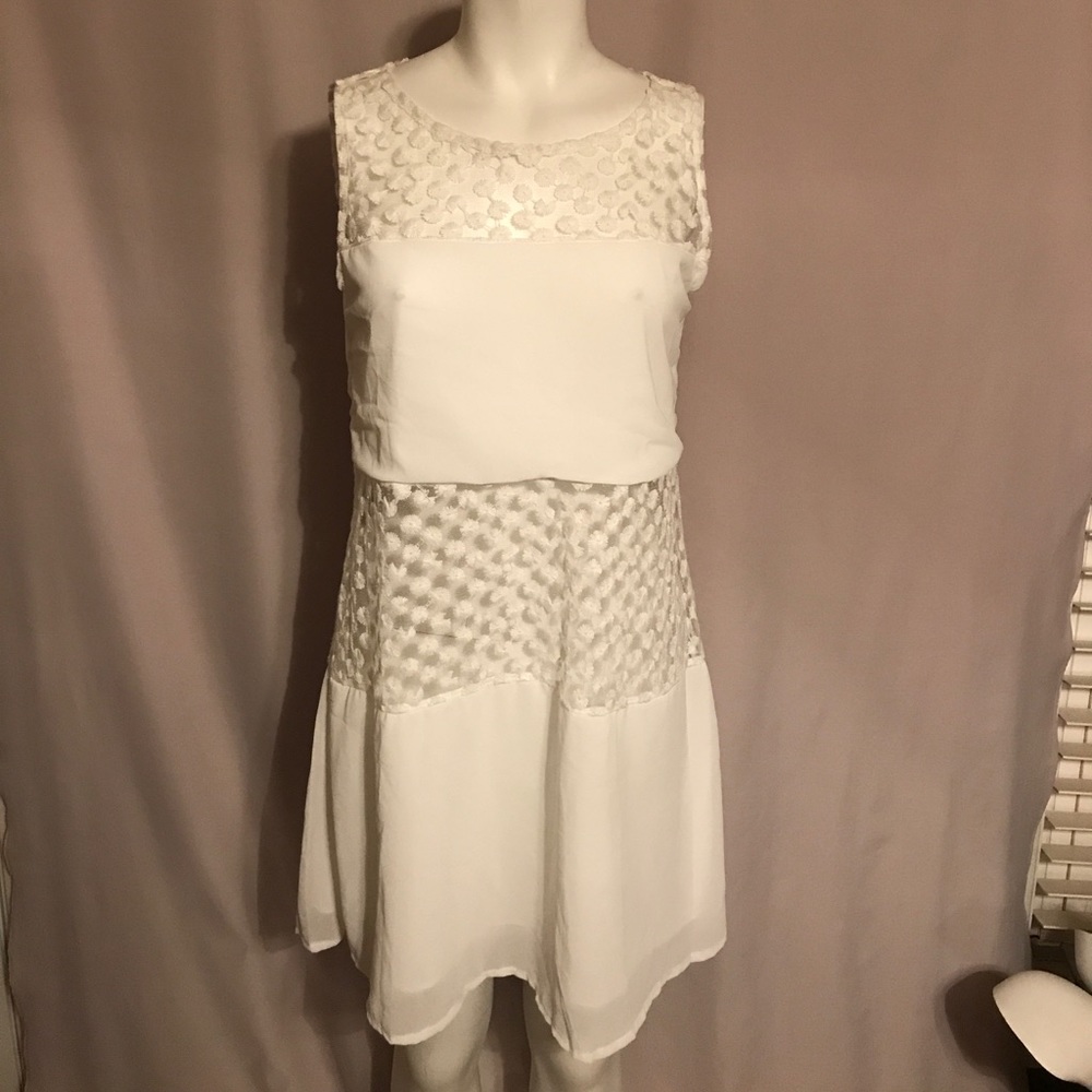 Panel Lace Dress