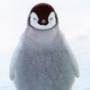 Meet your Posher, Tati