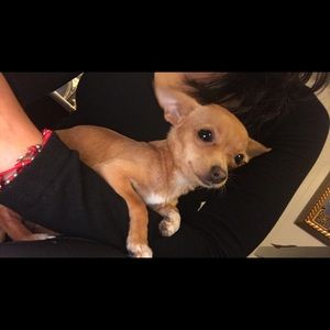 Meet your Posher, Thalia