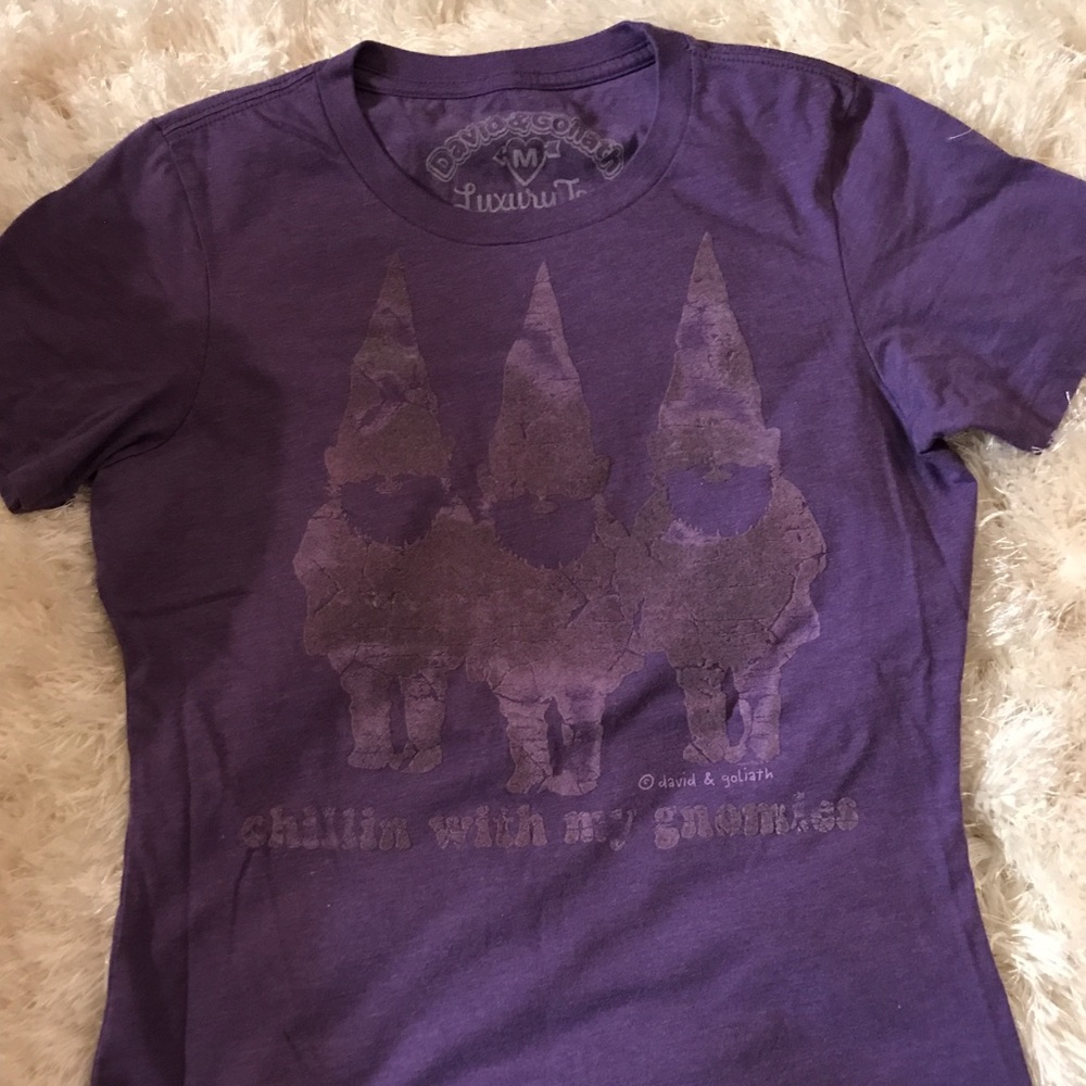 "Chillin with my Gnomies" Purple Top