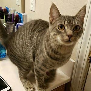 Meet your Posher, Randy