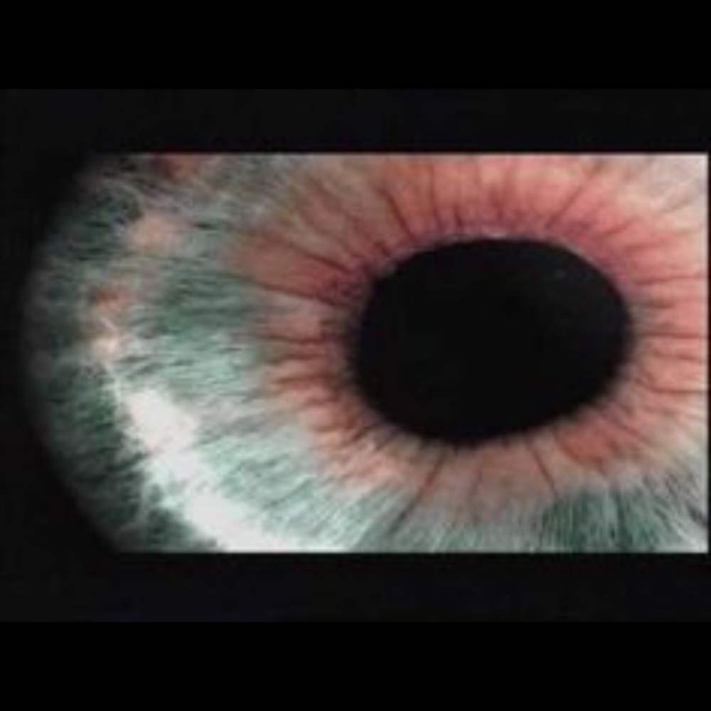 Meet your Posher, Cecilia