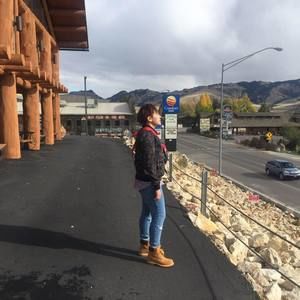 Meet your Posher, Tuk