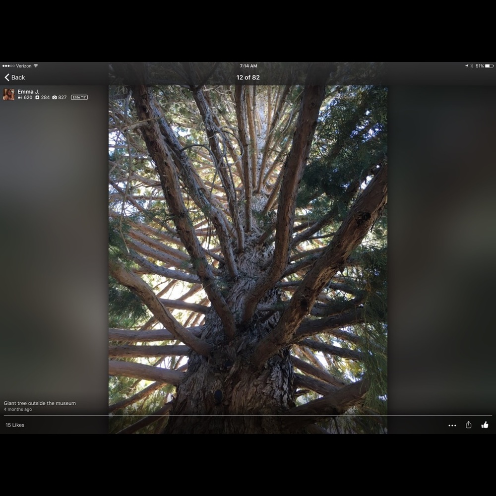 Meet your Posher, Kc