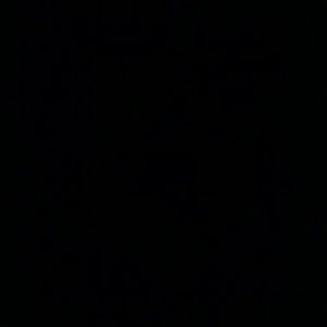 Meet your Posher, Corey