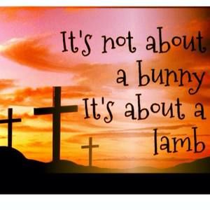 Meet your Posher, Shirley