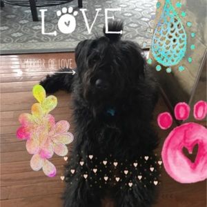 Meet your Posher, Rebecca