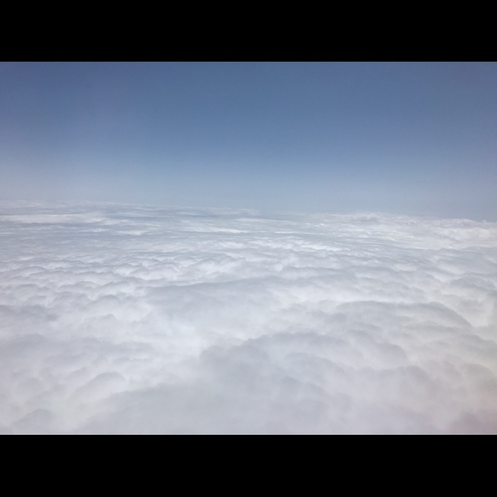 Meet your Posher, Penny