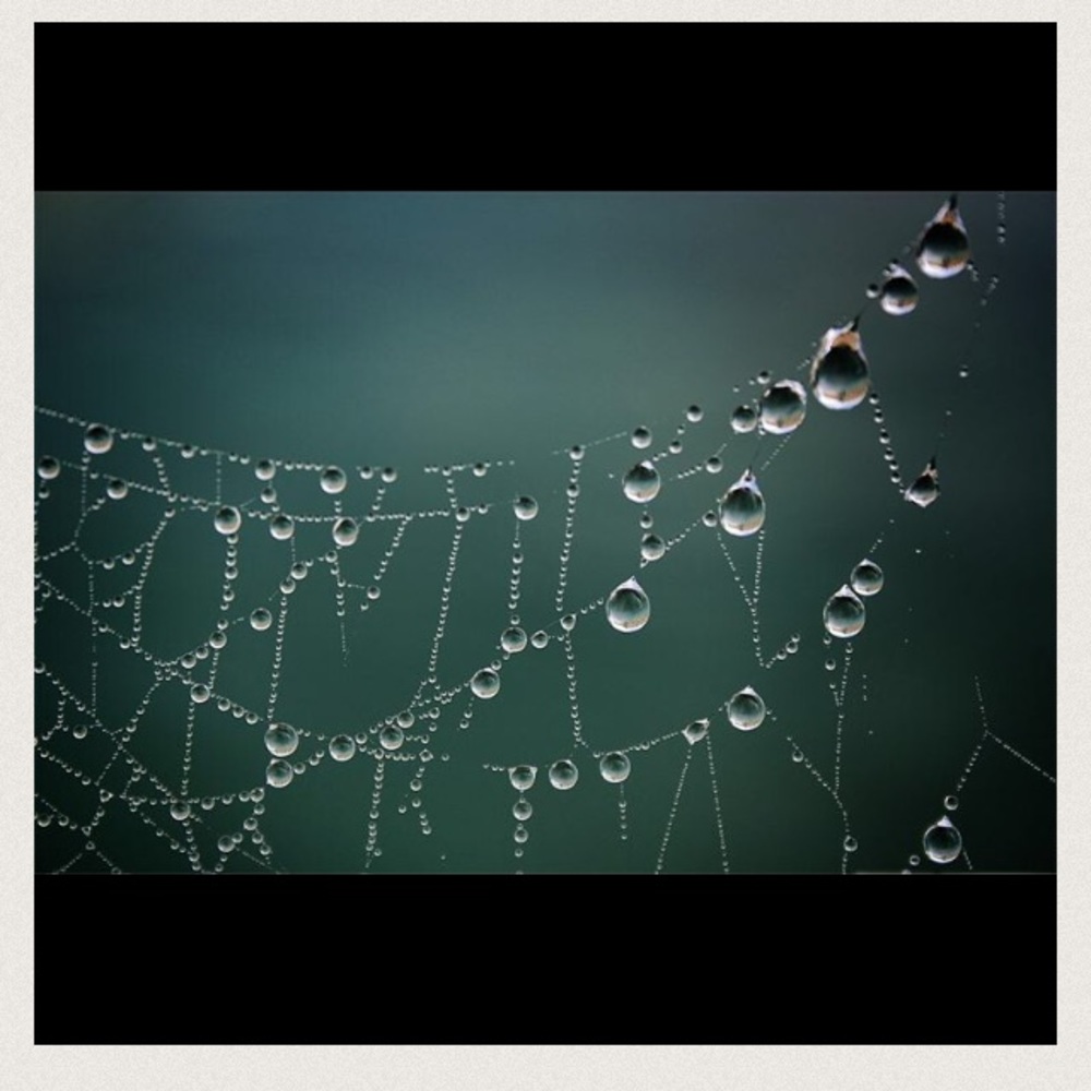 Personal listing for sale