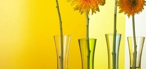 Meet your Posher, Britt