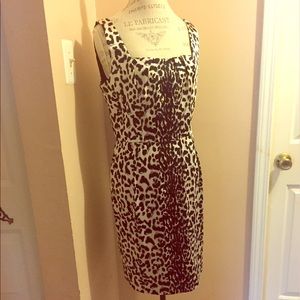 Dresses size 10 and 12